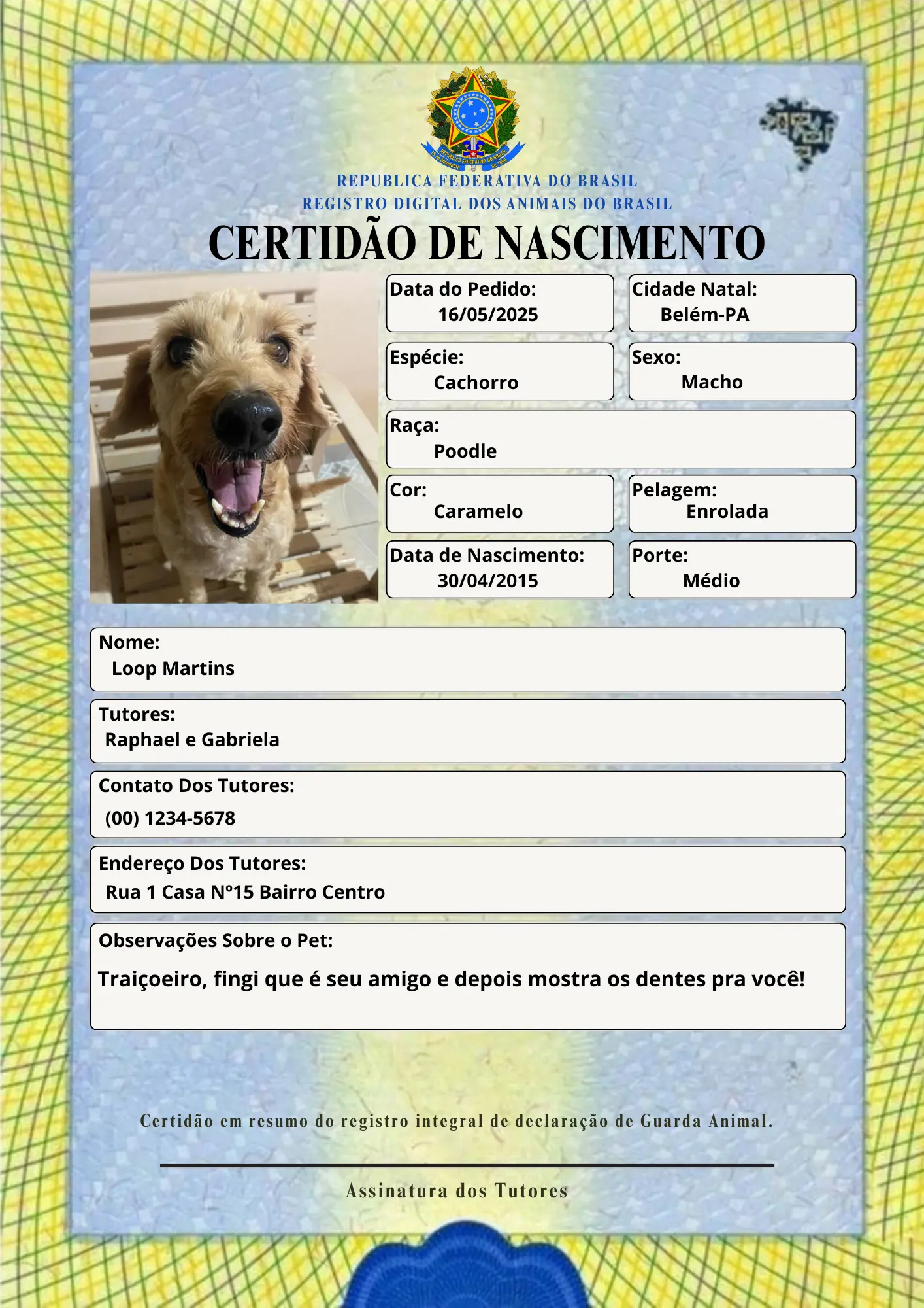 Certidão de Nascimento Pet